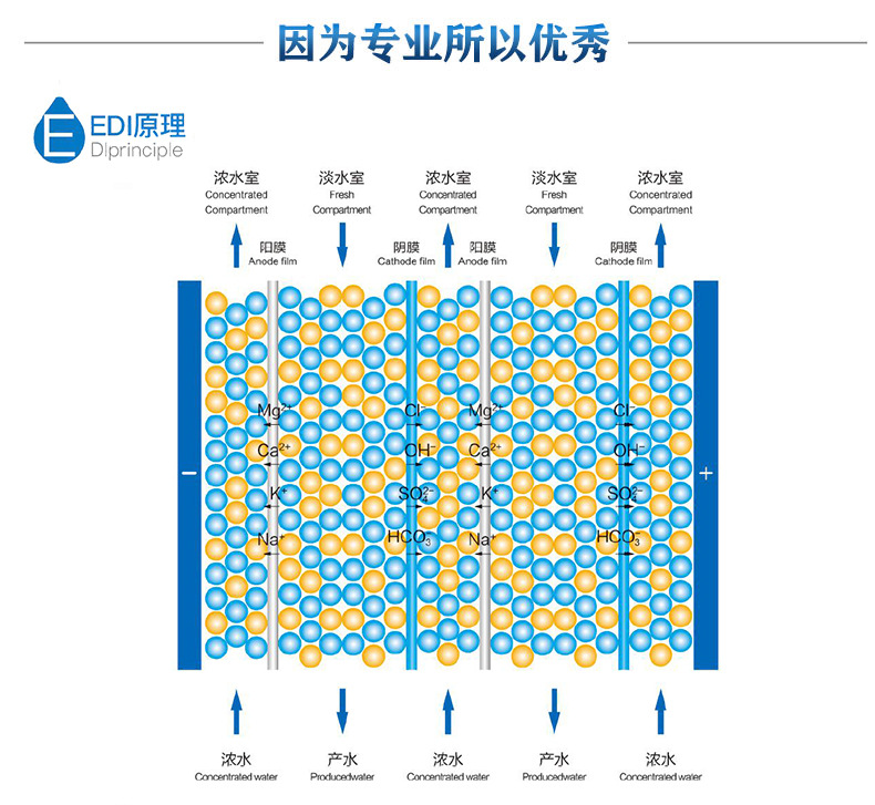 EDI膜块介绍03.jpg